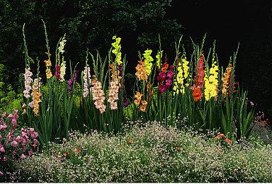 双摇杆射击游戏《扭曲空间》已登陆Steam 售价80元